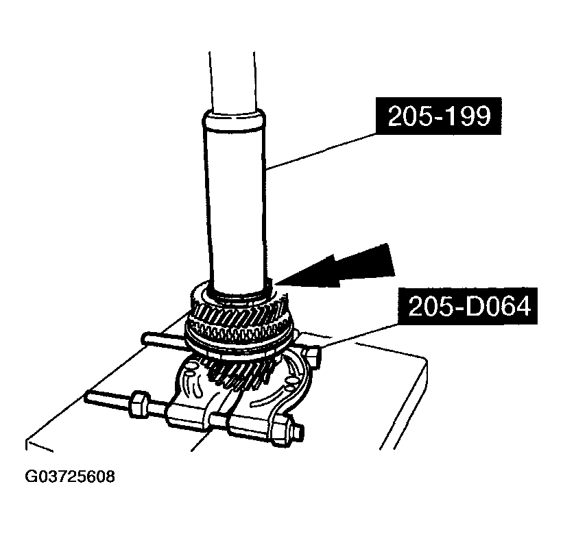 G03725608