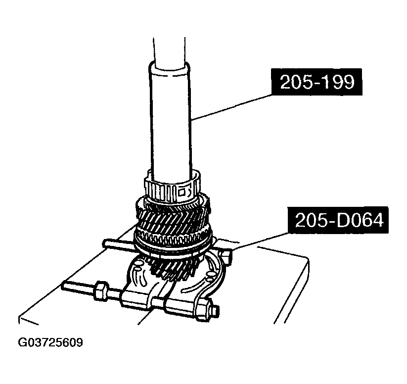 G03725609