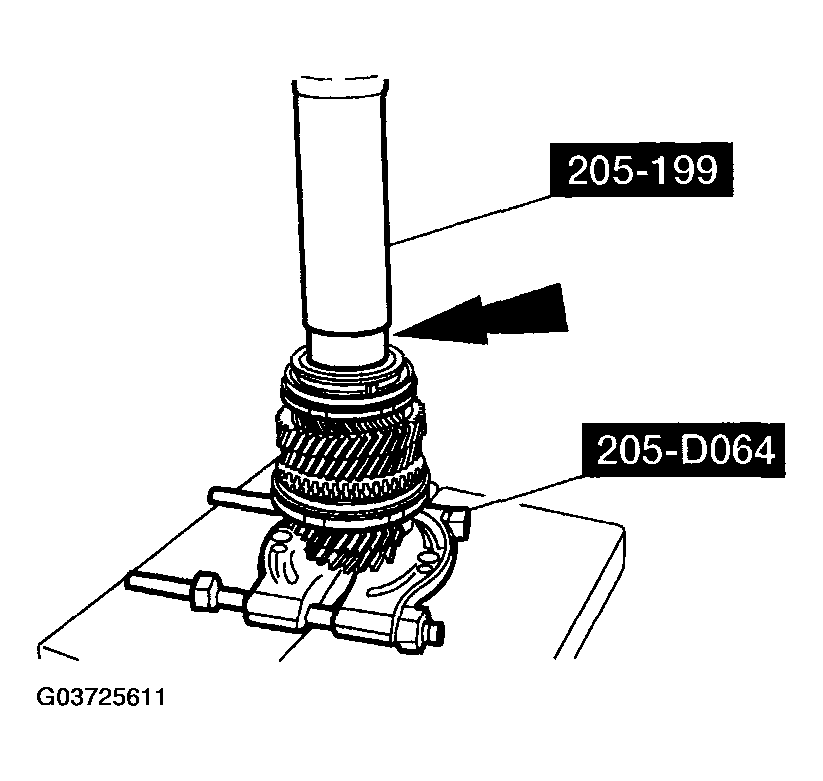G03725611