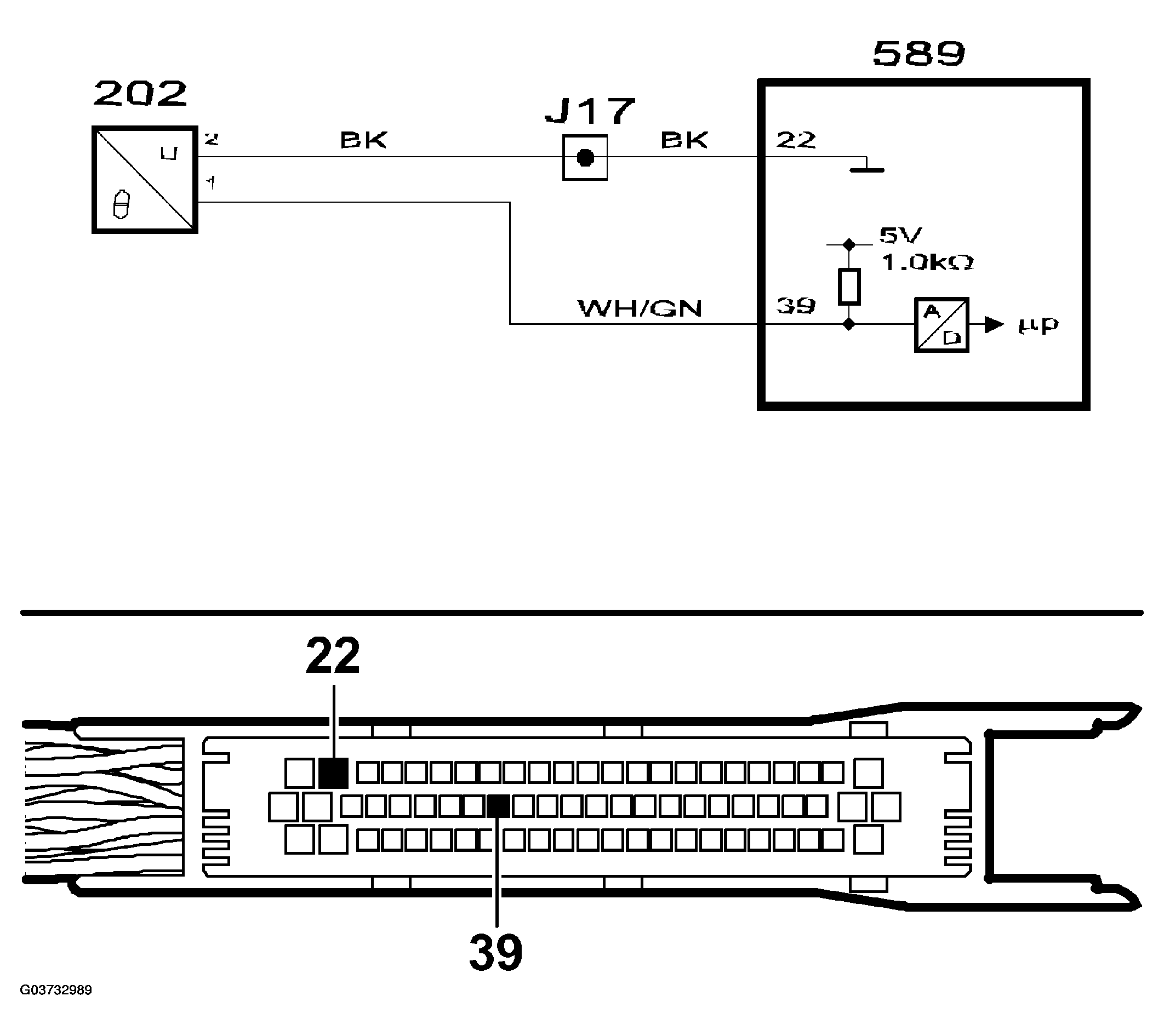 G03732989