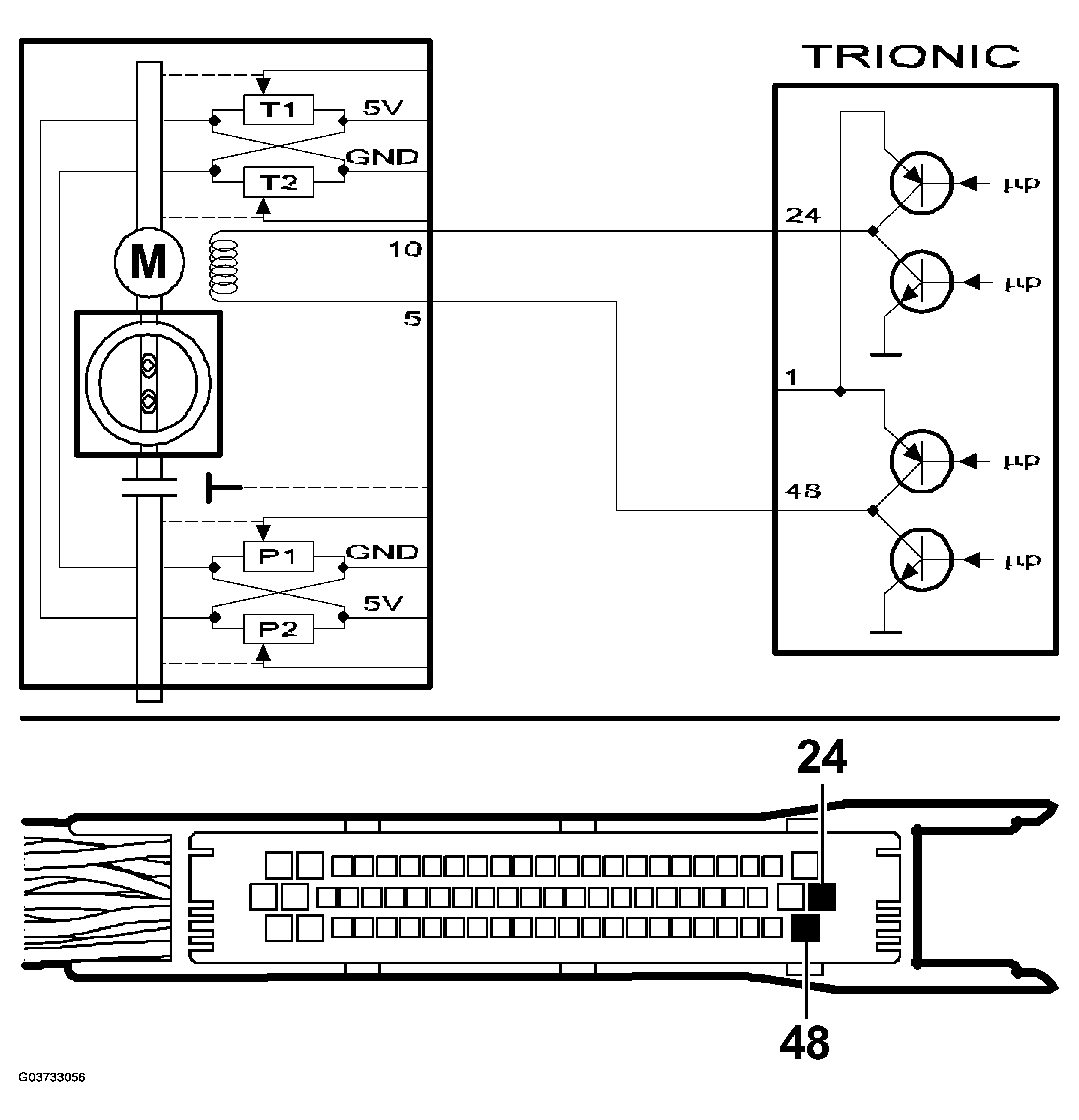 G03733056