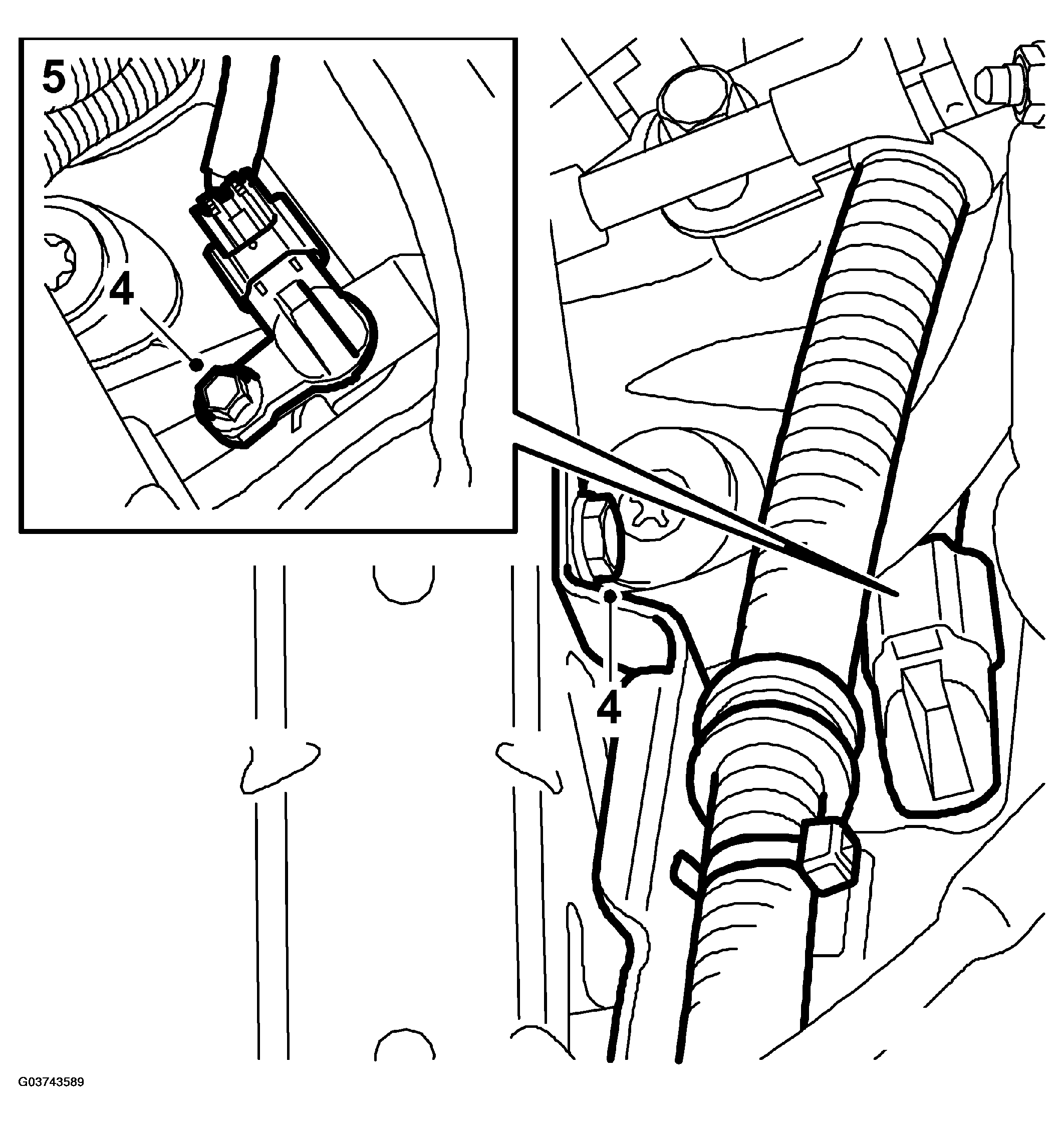 G03743589