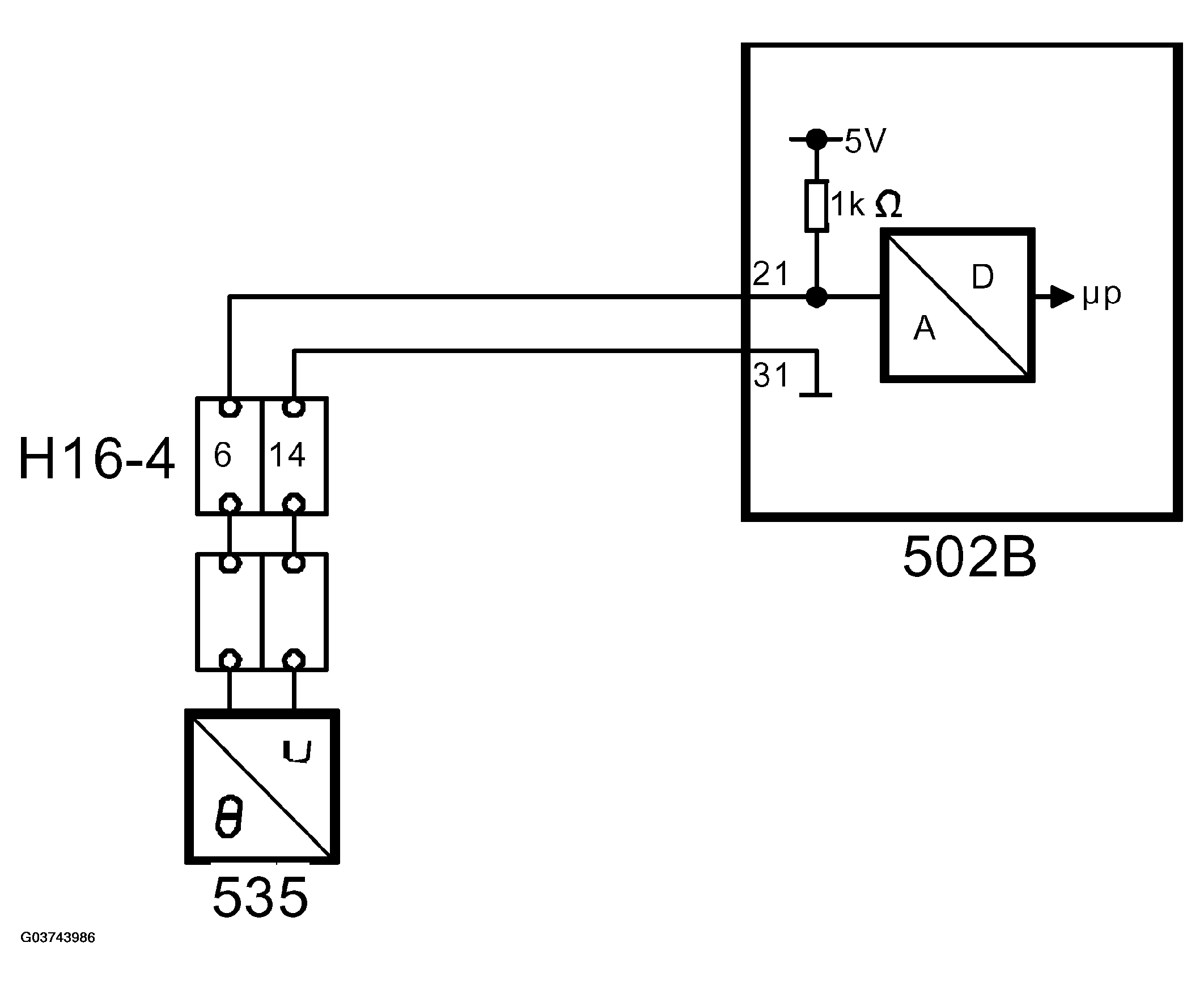 G03743986
