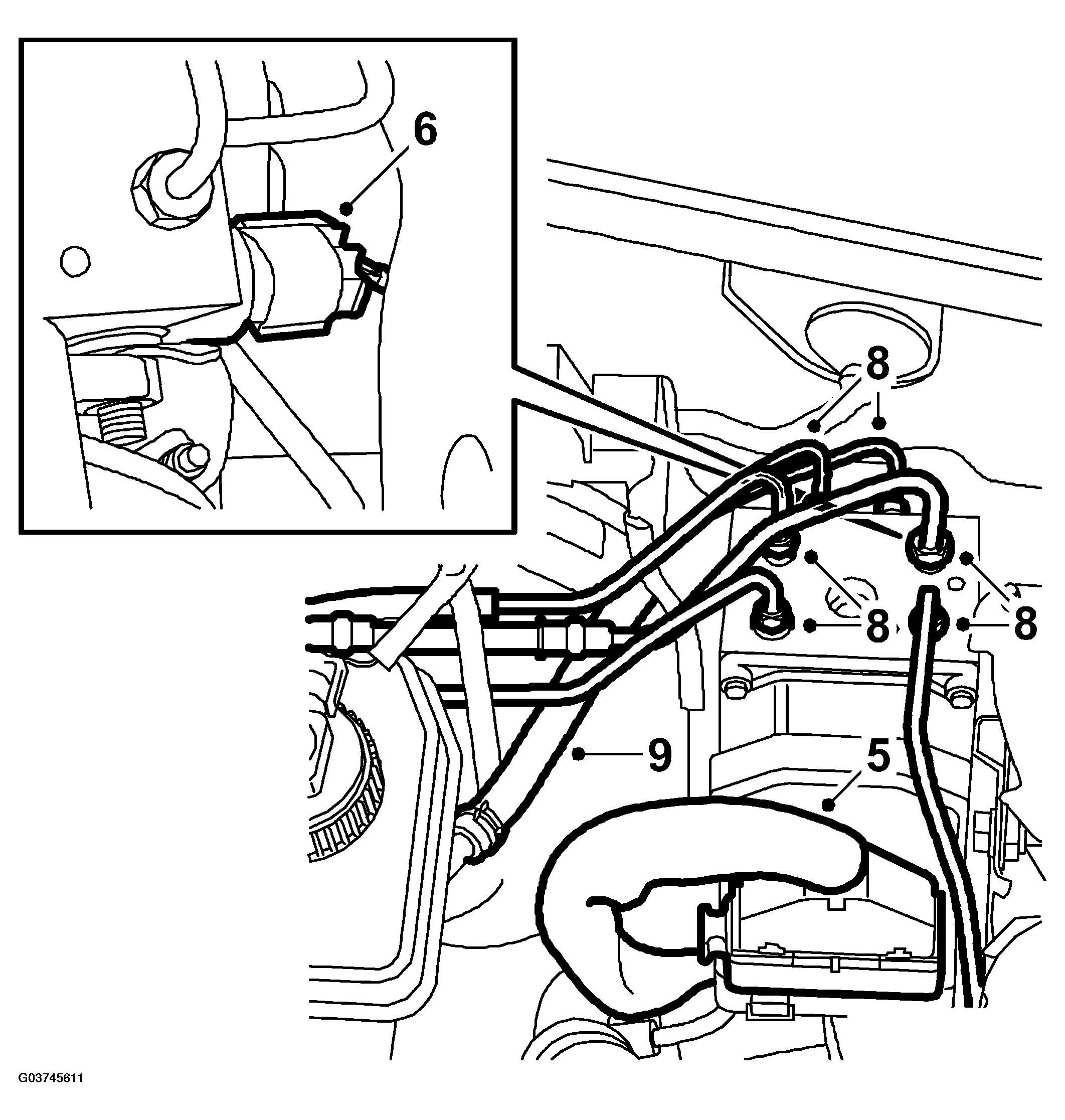 G03745611