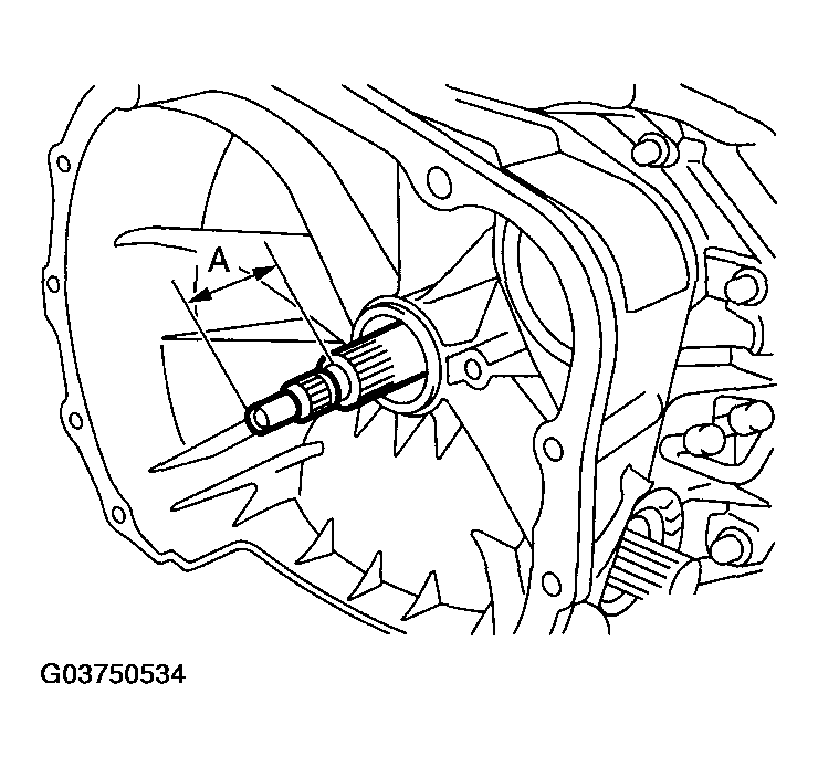 G03750534