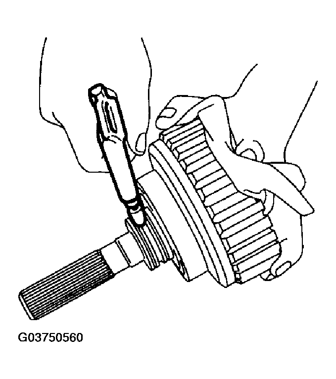 G03750560