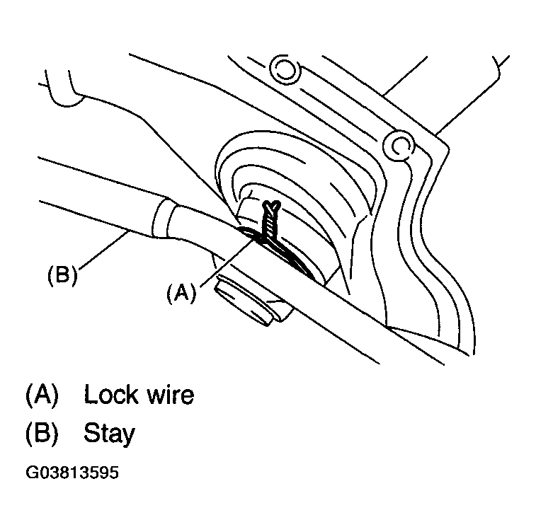 G03813595