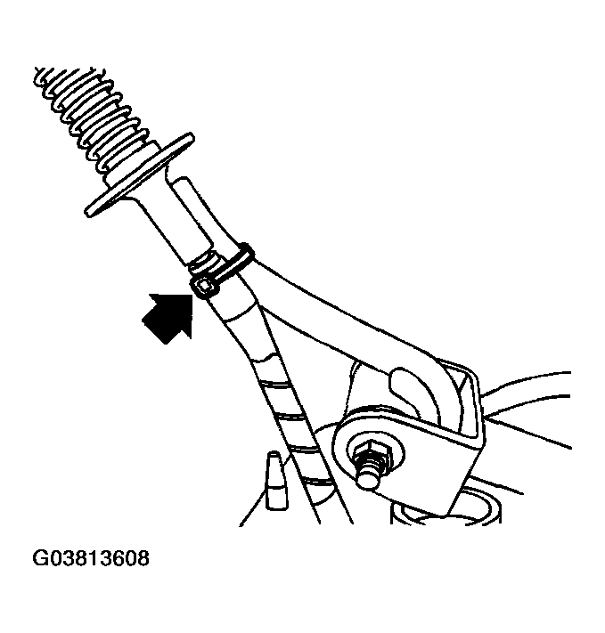 G03813608