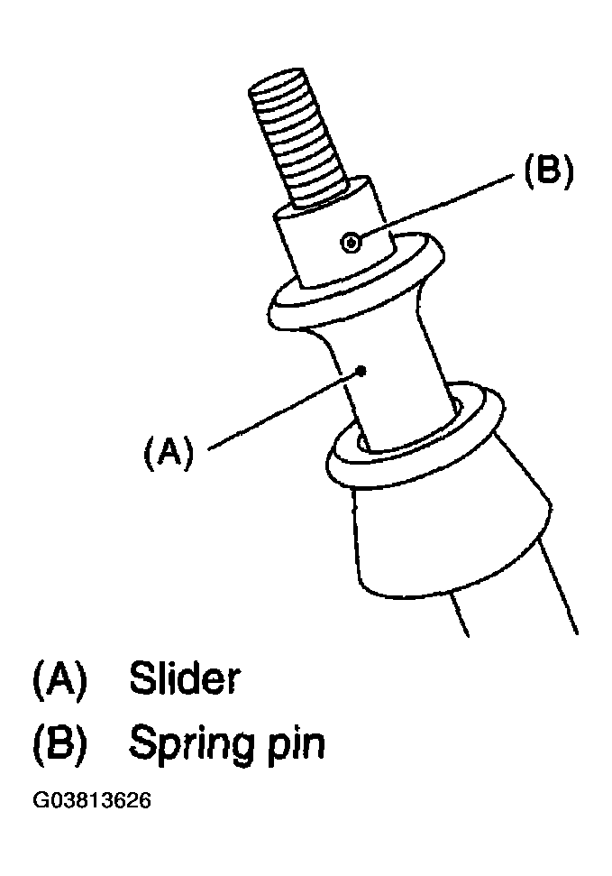 G03813626