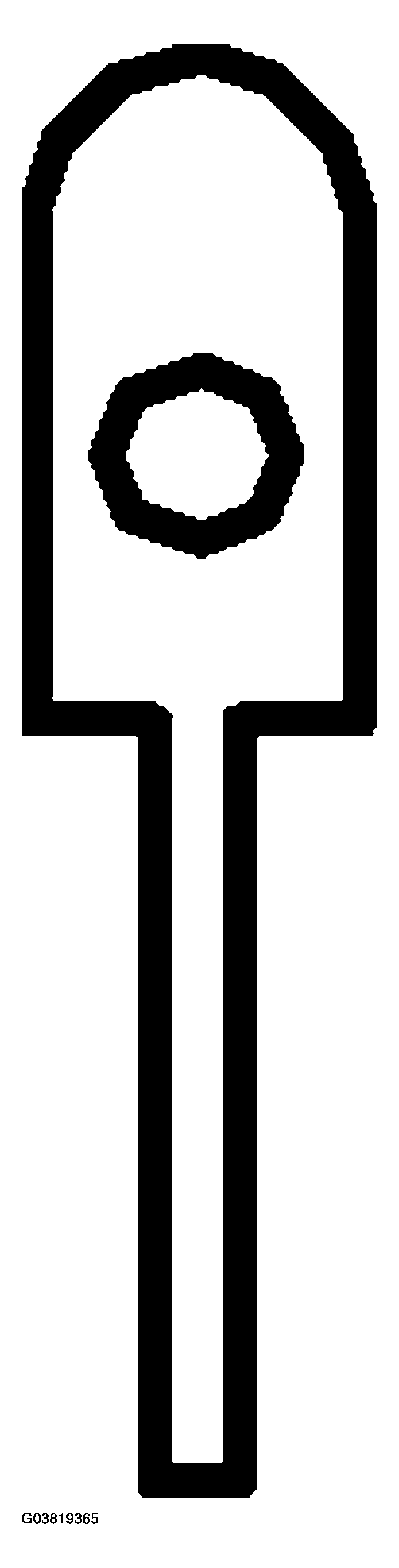 G03819365