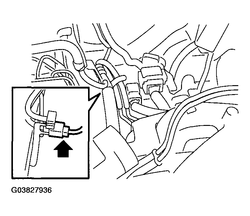G03827936