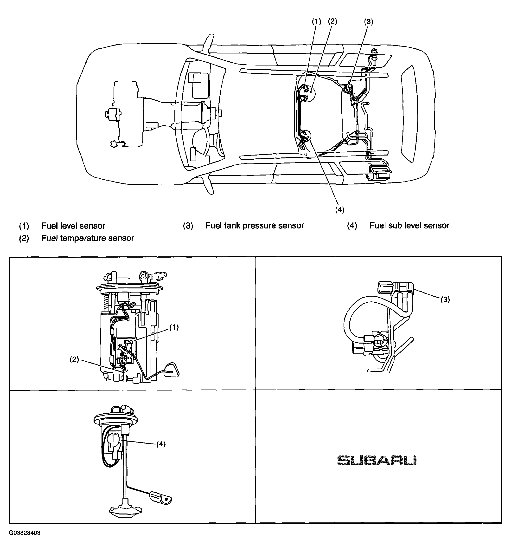 G03828403