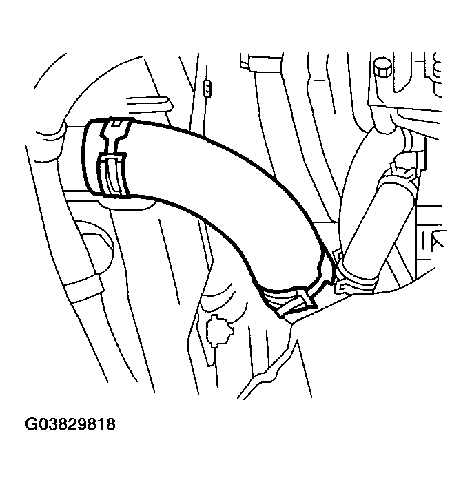 G03829818