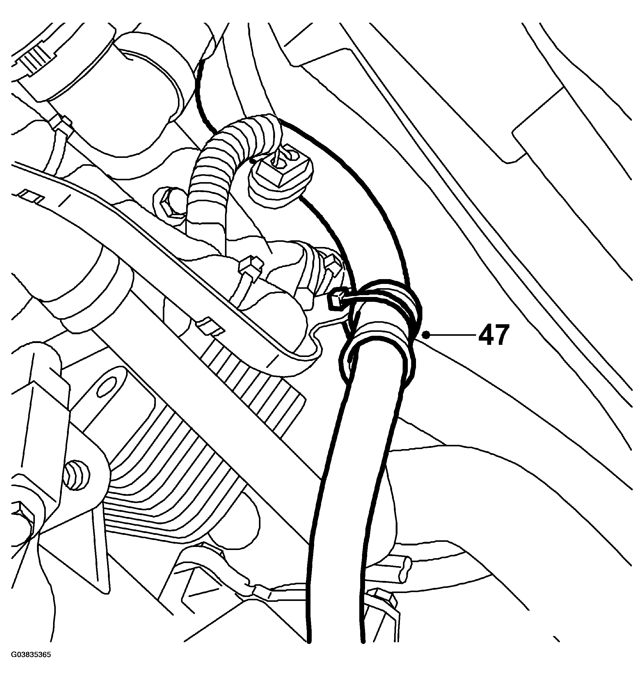 G03835365