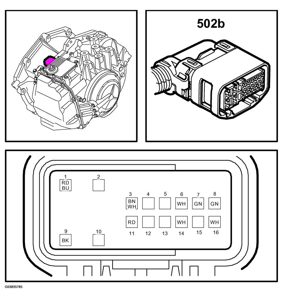 G03835785