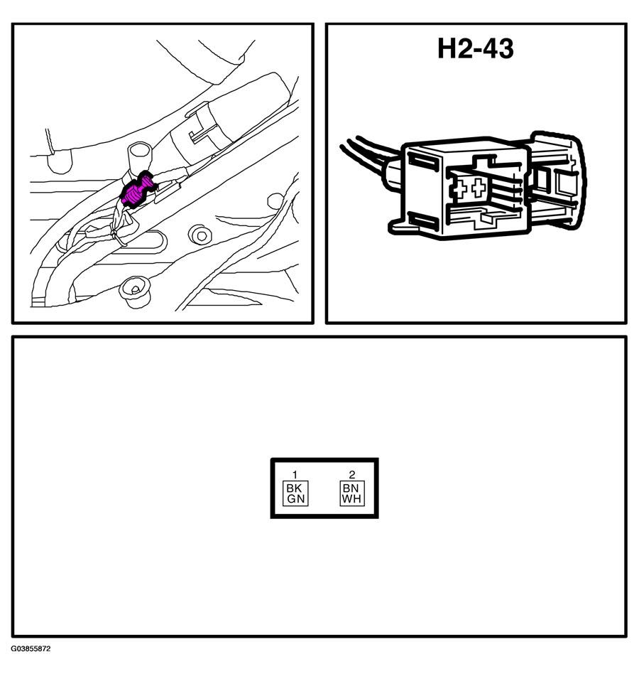 G03855872