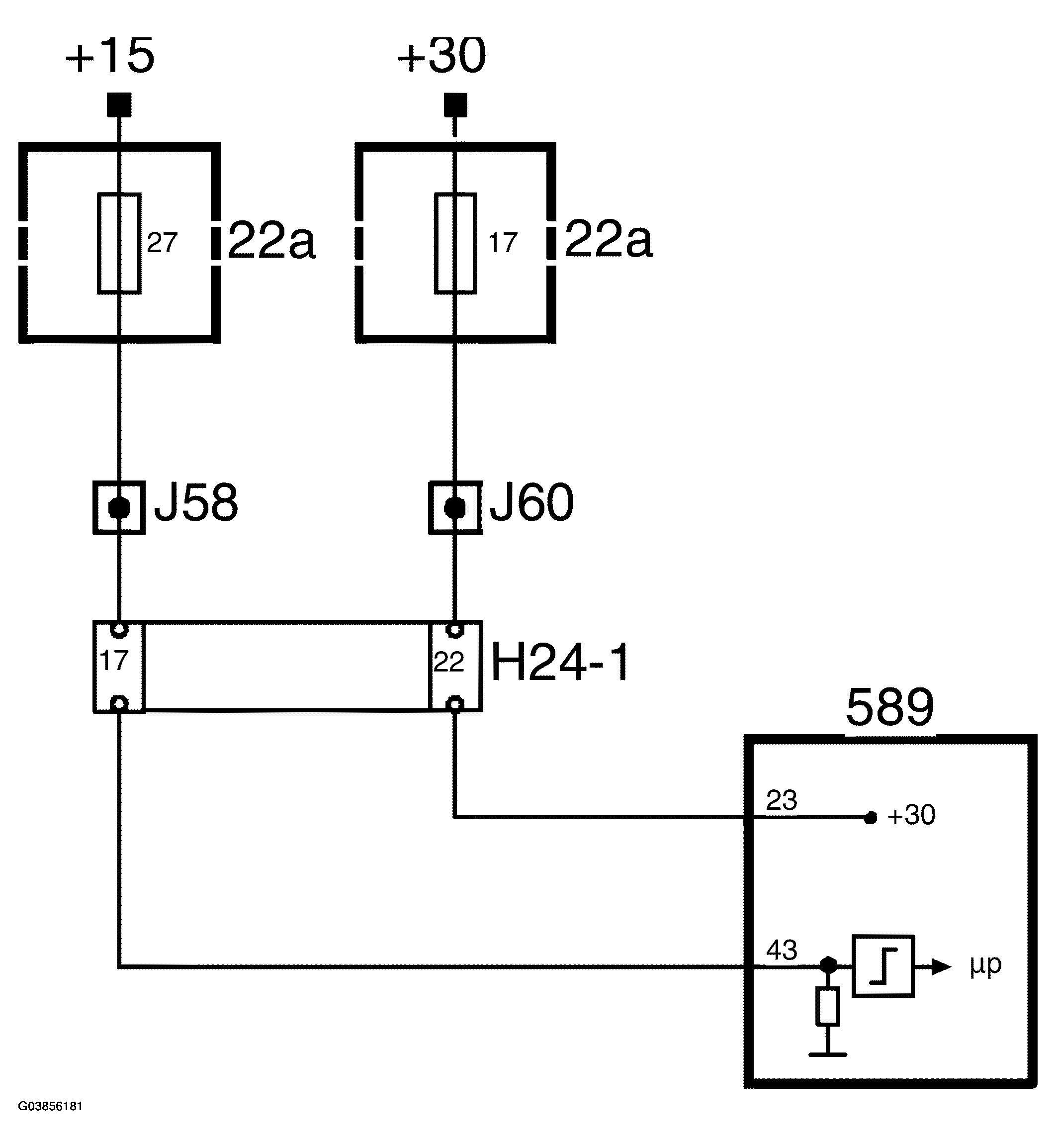 G03856181