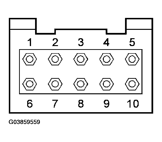 G03859559
