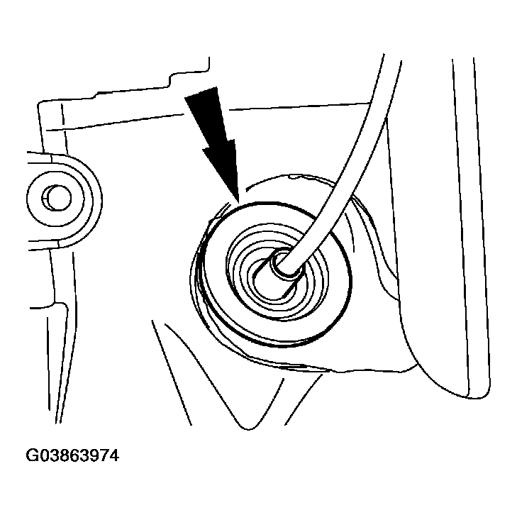 G03863974