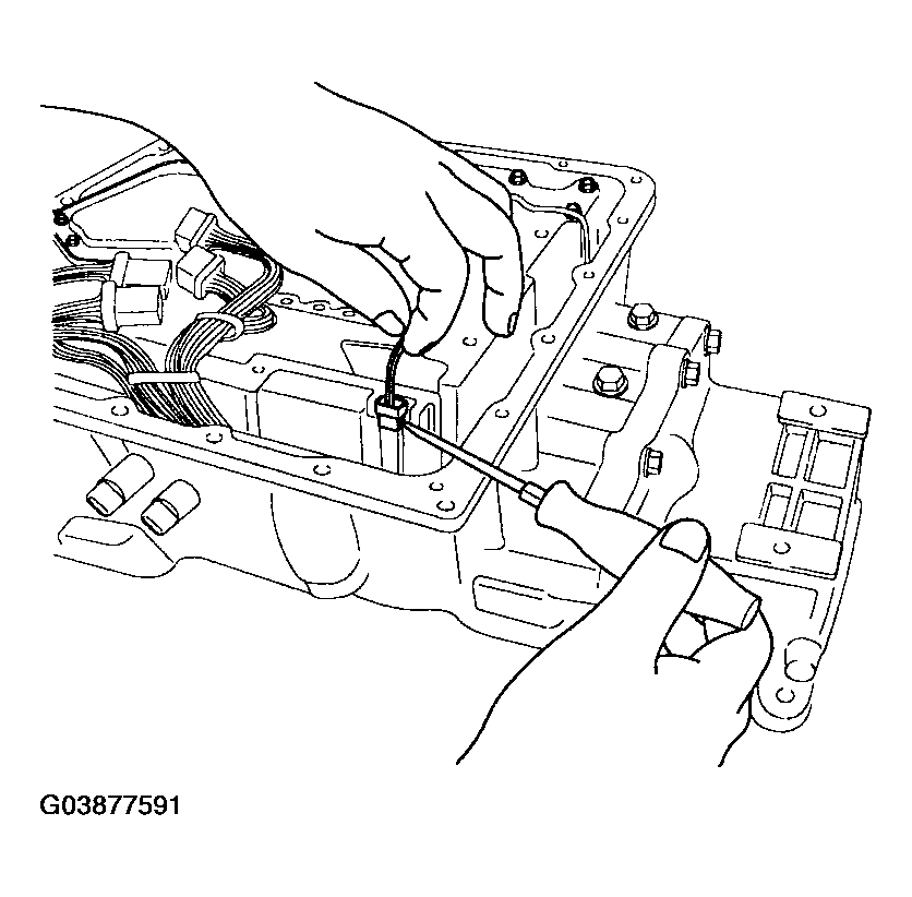 G03877591
