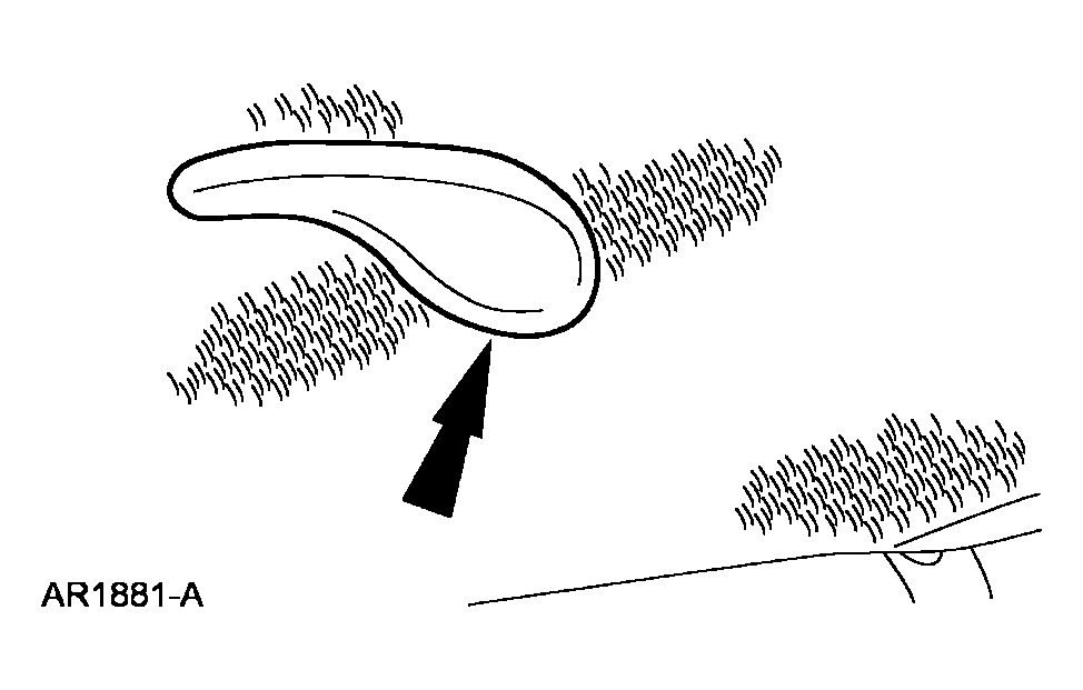 G03880385