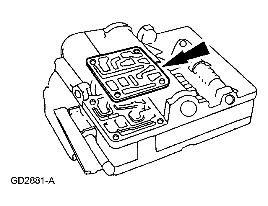 G03901065