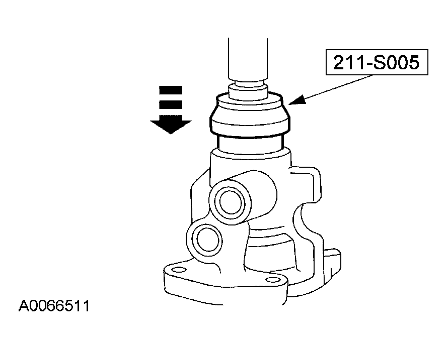 G03905032