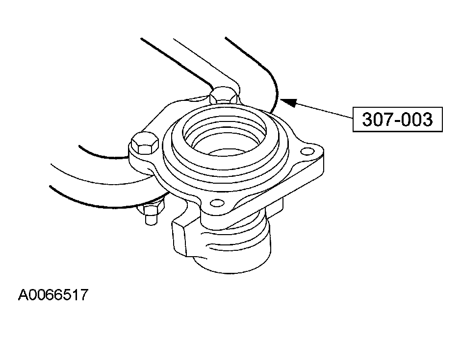 G03905036