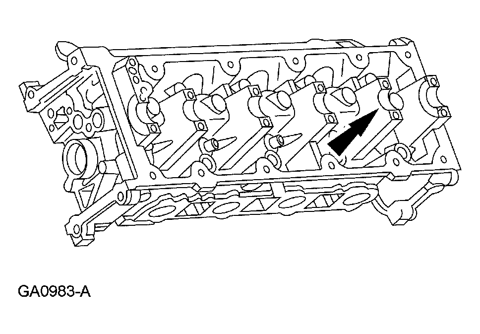 G03905501