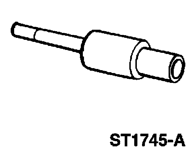 G03908302