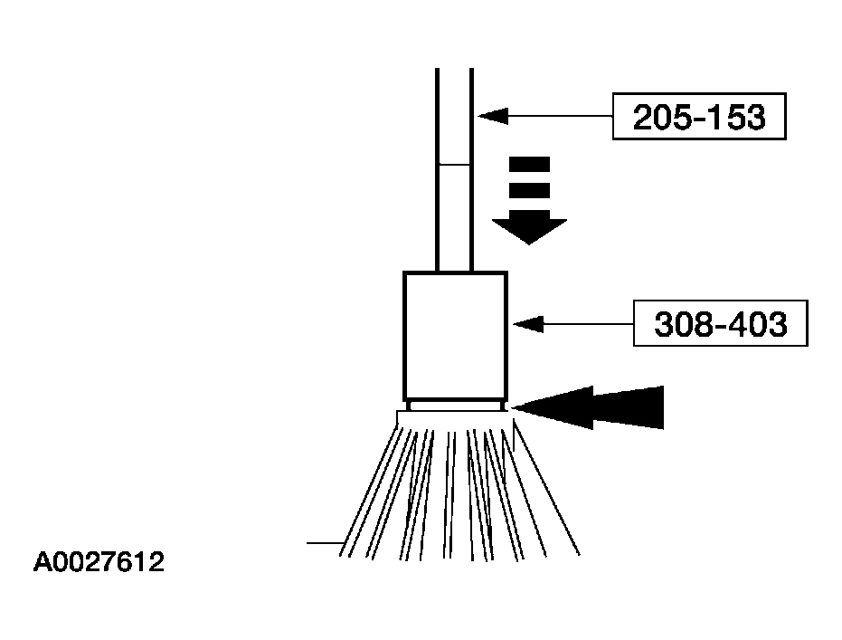 G03909801