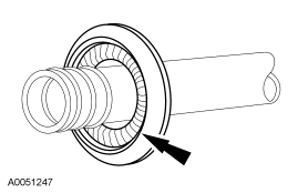 G03915811