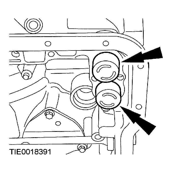 G03951286