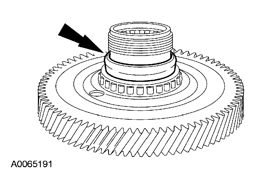 G03951434