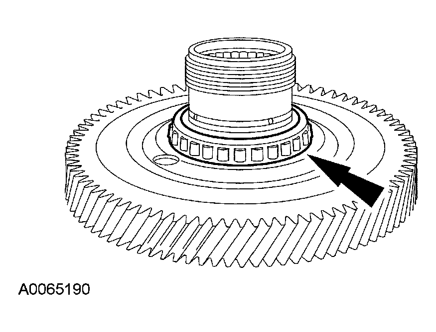 G03951435