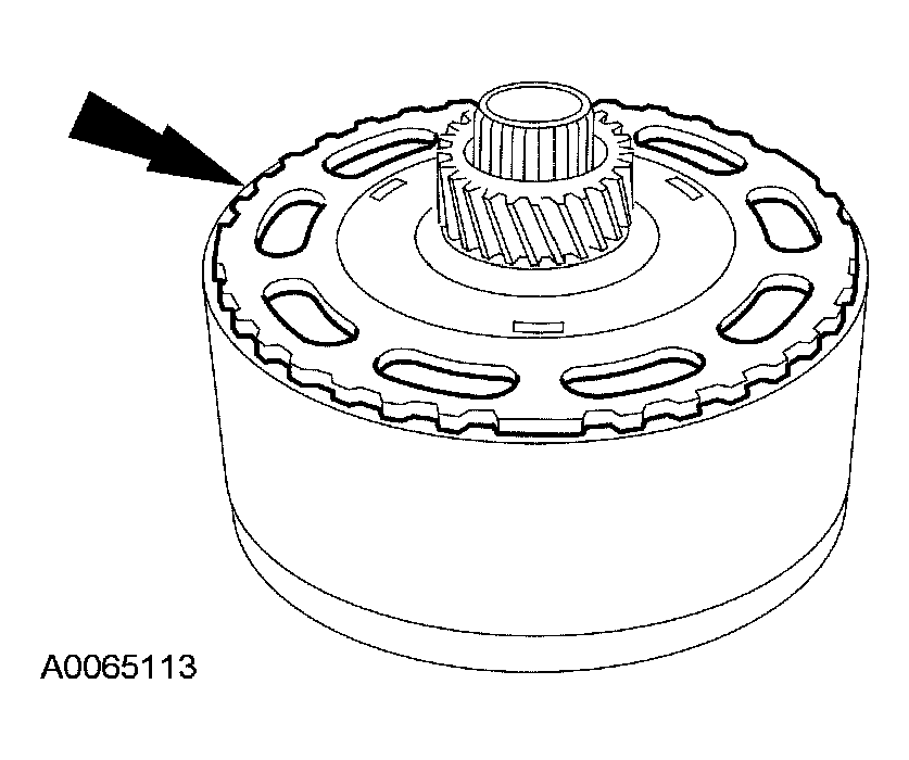 G03951481