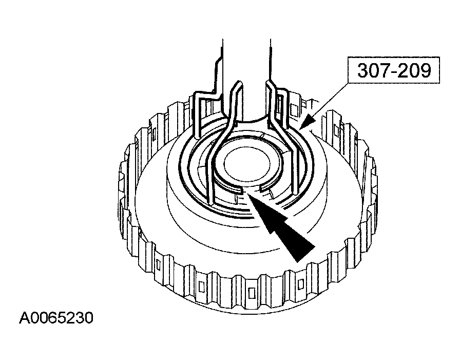 G03951489