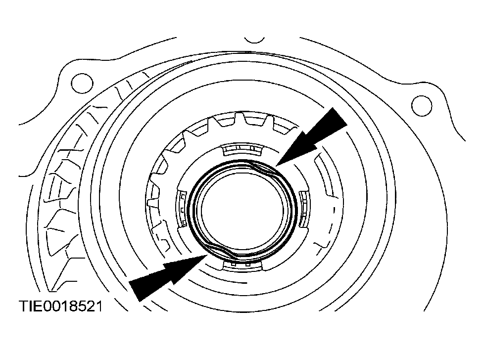 G03951589