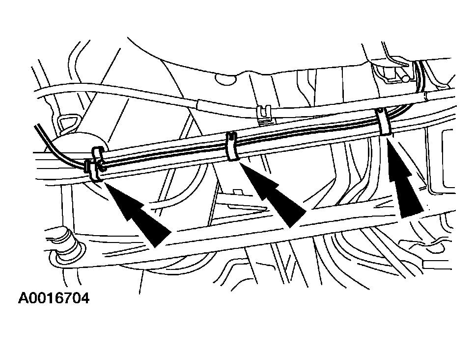 G03954607