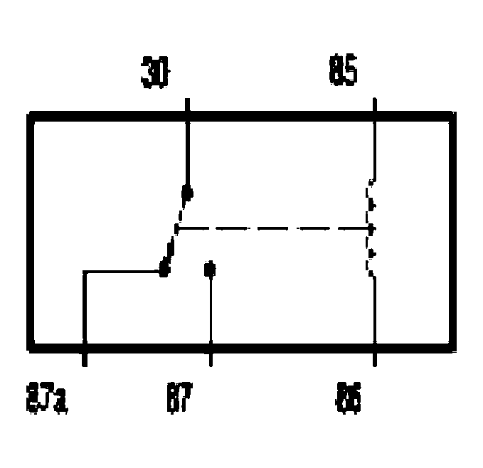 G03994424