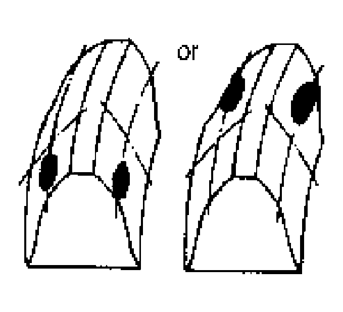 G04590374