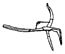 G04718596