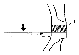 G04721940