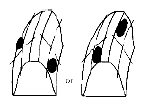 G04722091