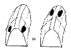G04722092