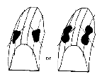 G04722093