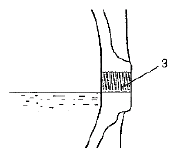 G04808913