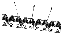 G04841865