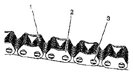 G04841889