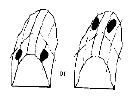 G04847385